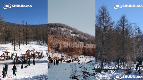 Олон өнгө: Нийслэлчүүдийн алхдаг Богд уулын жимээр